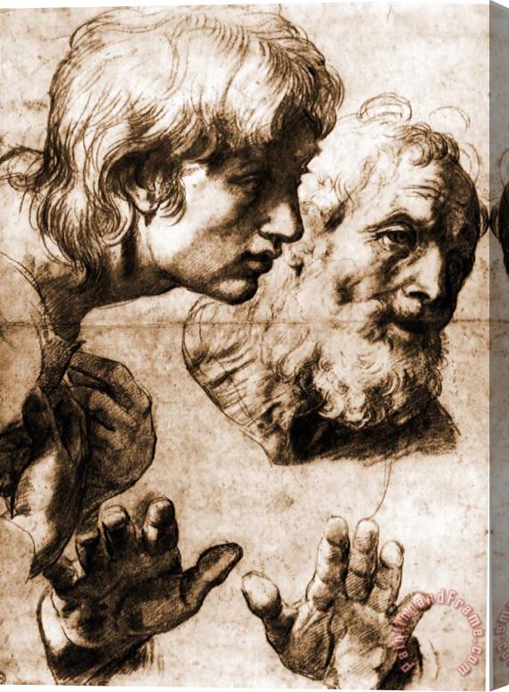 Raphael Studies for The Transfiguration Stretched Canvas Painting / Canvas Art