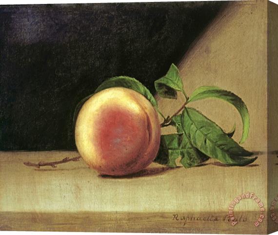Raphaelle Peale Still Life with Peach Stretched Canvas Painting / Canvas Art