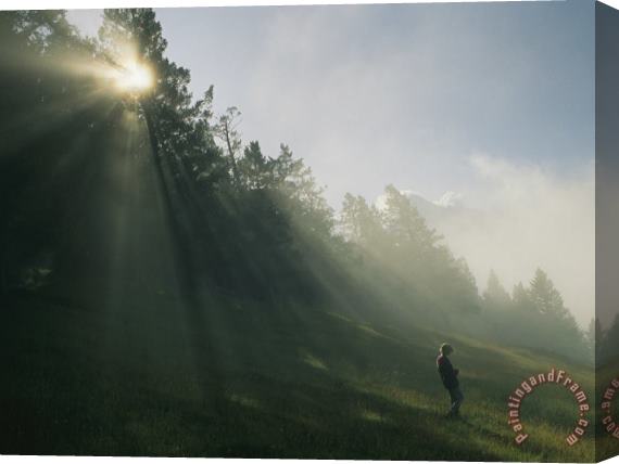 Raymond Gehman A Boy Walks Down a Hill in Banff National Park Stretched Canvas Print / Canvas Art