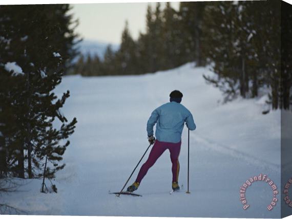 Raymond Gehman A Cross Country Skier on a Ski Trail in Yellowstone National Park Stretched Canvas Print / Canvas Art
