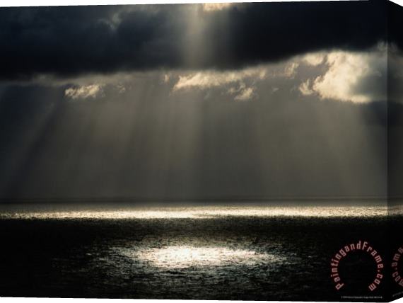 Raymond Gehman A Ray of Sunlight Illuminates a Patch of Water Stretched Canvas Print / Canvas Art