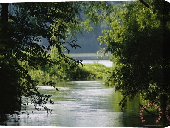Raymond Gehman A Riparian Forest Borders The Susquehanna River Stretched Canvas Painting / Canvas Art