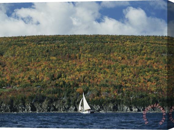 Raymond Gehman A Sailboat Passes a Low Headland Cloaked in Autumn Colors Stretched Canvas Print / Canvas Art