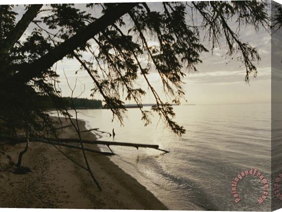 Raymond Gehman A View of The Shoreline in The Apostle Islands Stretched Canvas Painting / Canvas Art