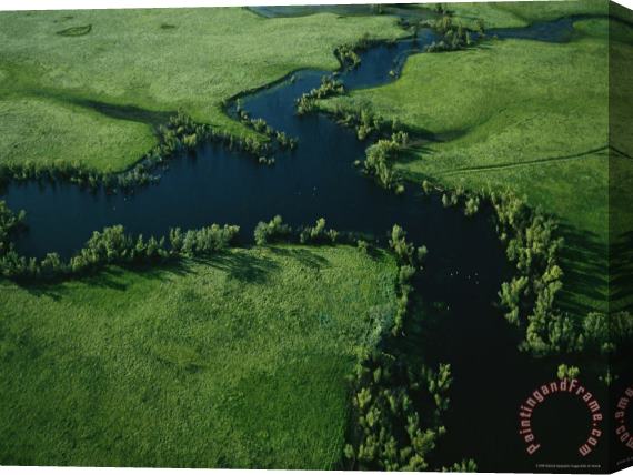 Raymond Gehman Aerial View of North Stone Lake in The Wetland Area Stretched Canvas Painting / Canvas Art