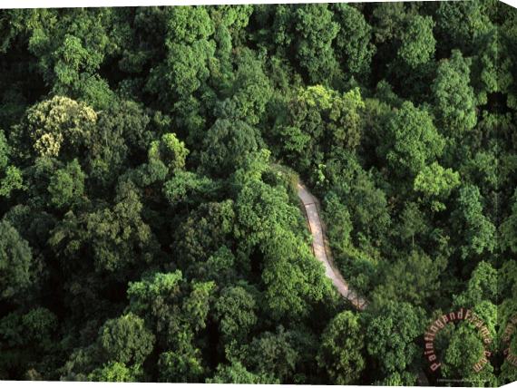 Raymond Gehman An Aerial View of a Road Passing Through a Thick Forest Stretched Canvas Painting / Canvas Art