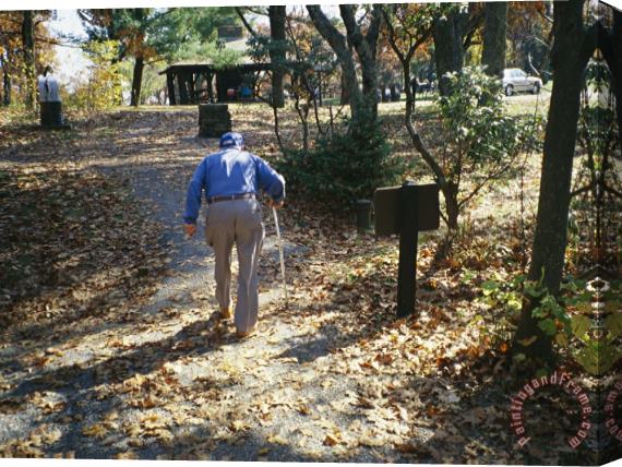 Raymond Gehman An Old Man Walking a Path at The Pinnacles Picnic Area Stretched Canvas Print / Canvas Art