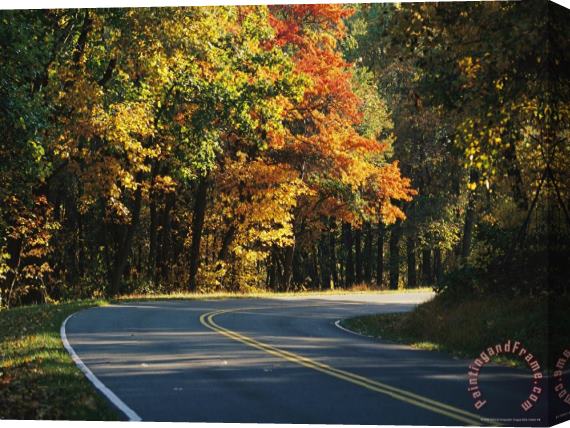 Raymond Gehman Autumn Colored Trees Lining The Scenic Skyline Drive Stretched Canvas Painting / Canvas Art