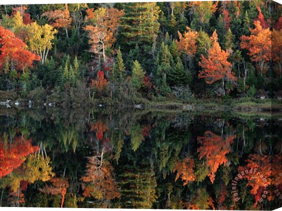 Raymond Gehman Autumn Foliage Reflected in a Canadian Lake Stretched Canvas Print / Canvas Art