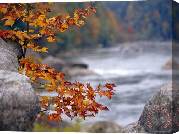 Raymond Gehman Autumn Hues And Large Boulders Along The Gauley River Stretched Canvas Painting / Canvas Art