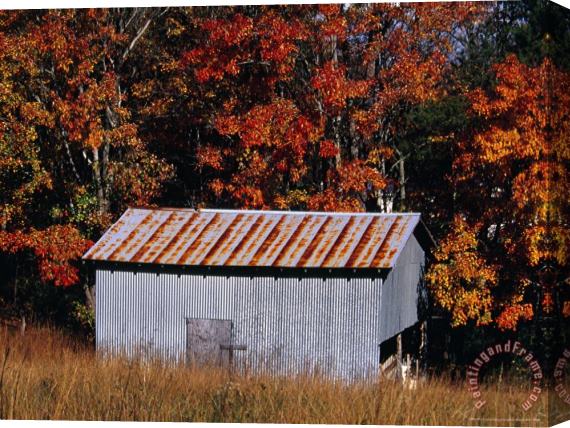 Raymond Gehman Autumn View of an Old Tin Barn at The Edge of The Woods Stretched Canvas Painting / Canvas Art