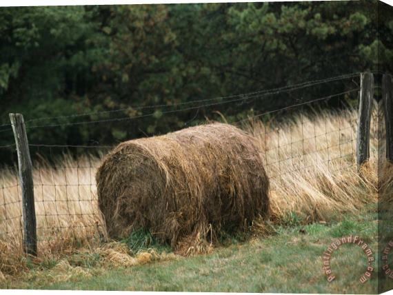 Raymond Gehman Barbed Wire Fence And Hay Roll in Farmers Field Tye River Gap Stretched Canvas Print / Canvas Art