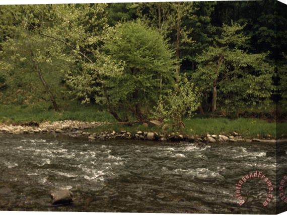 Raymond Gehman Bluestone River Rushing Through Pipestem State Park Stretched Canvas Print / Canvas Art