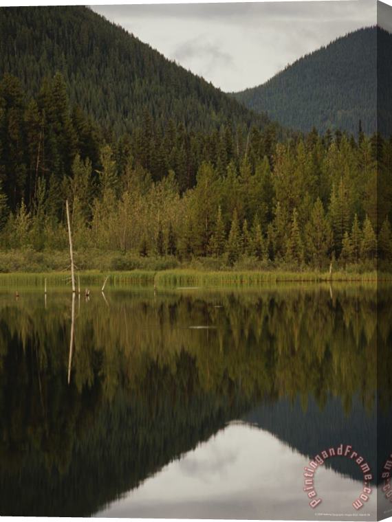 Raymond Gehman Boreal Forest Reflected in a Still Lake Stretched Canvas Print / Canvas Art
