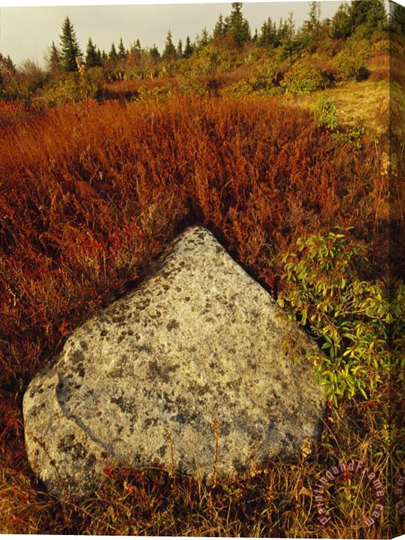 Raymond Gehman Boulder in Autumn Hued Landscape with Evergreen Trees Stretched Canvas Print / Canvas Art