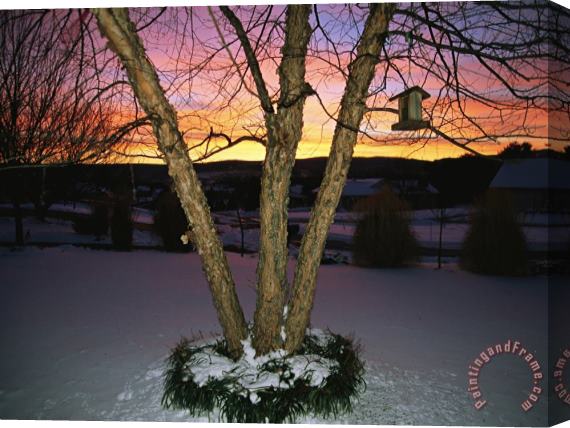 Raymond Gehman Brilliant Dawn Rises on a Tree And Birdhouse on a Snow Covered Yard Stretched Canvas Print / Canvas Art