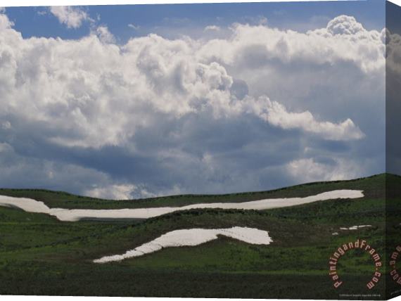 Raymond Gehman Clouds Fill The Sky Over June Snowbanks in Hayden Valley Stretched Canvas Painting / Canvas Art