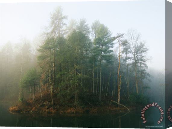 Raymond Gehman Early Morning Fog in The Trees Around Otter Lake Stretched Canvas Print / Canvas Art
