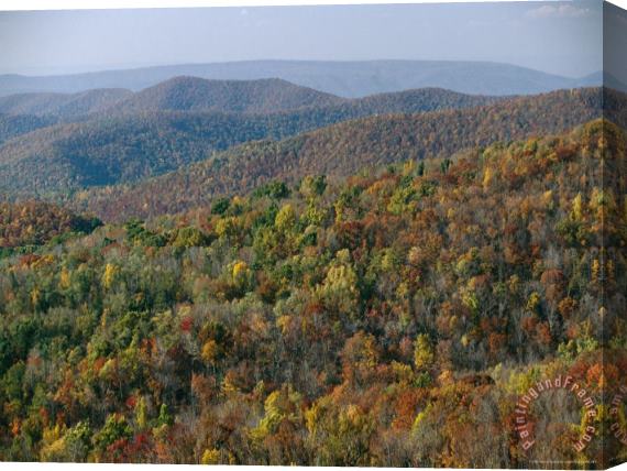 Raymond Gehman Fall Colors in Forests Along Tanners Ridge with View of Massanutten Mountain Stretched Canvas Painting / Canvas Art
