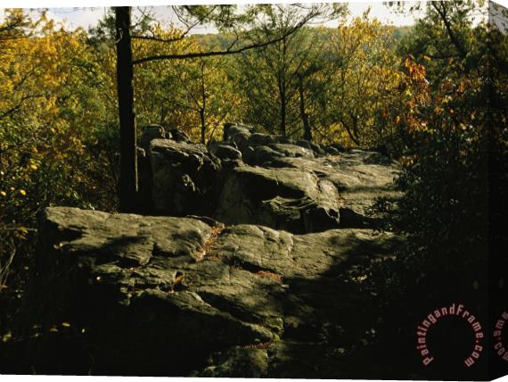 Raymond Gehman Fall Foliage And Boulders on The Appalachian Trail Stretched Canvas Print / Canvas Art