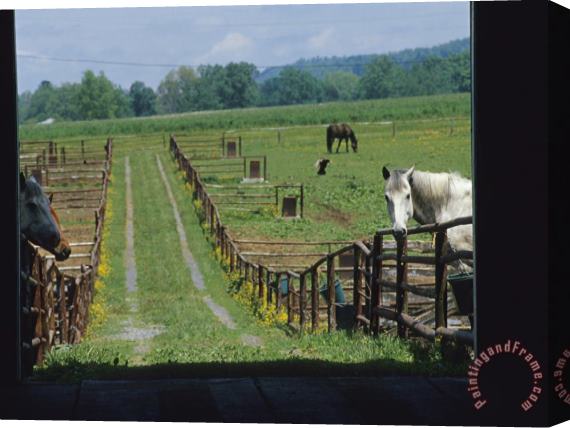 Raymond Gehman Farm Scene with Horses Grazing in Fenced Green Fields Near a Barn Stretched Canvas Print / Canvas Art