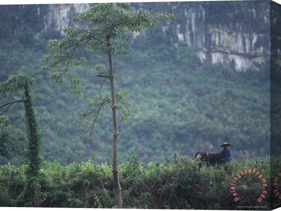 Raymond Gehman Farmer Water Buffalo Limestone Karst Mountains Behind Guangxi Stretched Canvas Print / Canvas Art