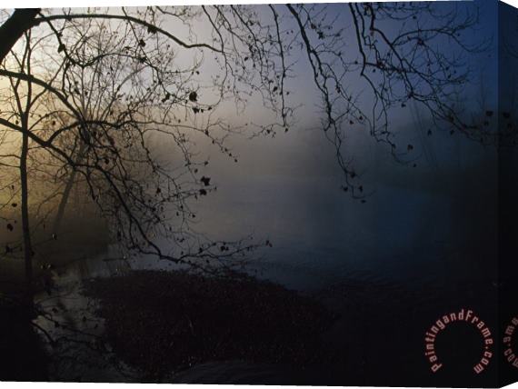 Raymond Gehman Fog And Silhouetted Trees at Sunrise on The Little Tennessee River Stretched Canvas Painting / Canvas Art