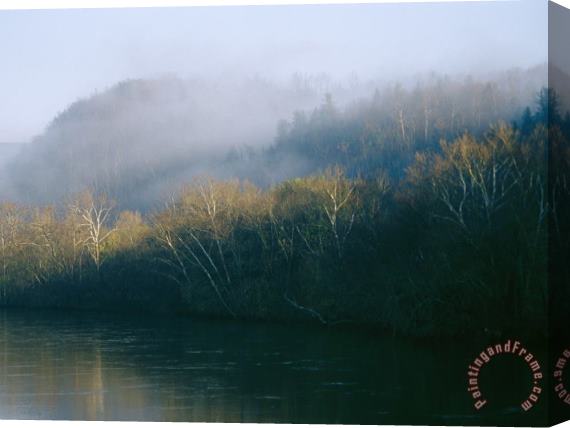 Raymond Gehman Fog Covers The Sycamore Trees That Grow Along The James River Stretched Canvas Painting / Canvas Art