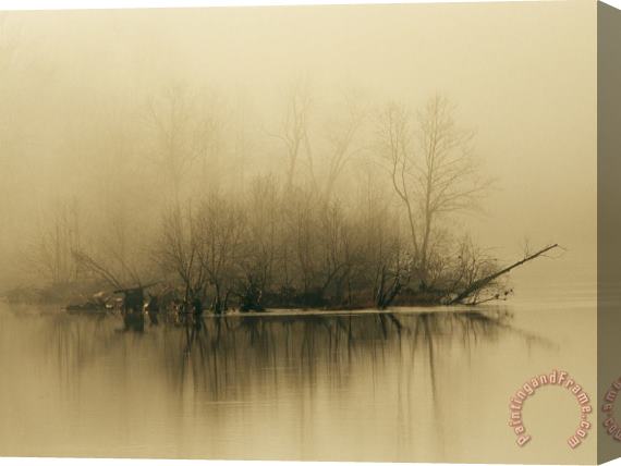 Raymond Gehman Fog Hovers Above The James River at Dawn Stretched Canvas Print / Canvas Art