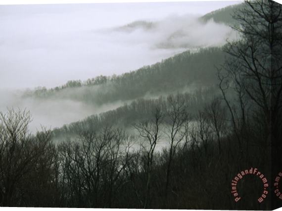 Raymond Gehman Fog in The Valley Near Fishers Gap Along Skyline Drive Stretched Canvas Painting / Canvas Art