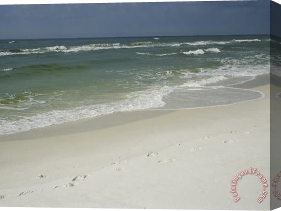 Raymond Gehman Footprints Along a Sandy Beach with Gentle Surf Stretched Canvas Print / Canvas Art