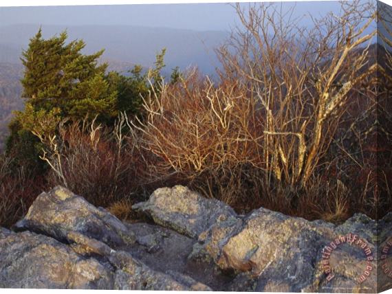 Raymond Gehman Granite Outcrop on The Summit of Big Pinnacle Elevation 5068 Feet Stretched Canvas Print / Canvas Art