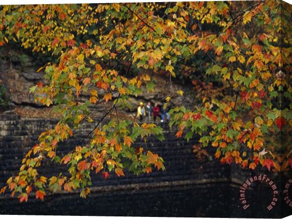 Raymond Gehman Hikers Seen Through The Branches of a Maple Tree in Autumn Hues Stretched Canvas Print / Canvas Art
