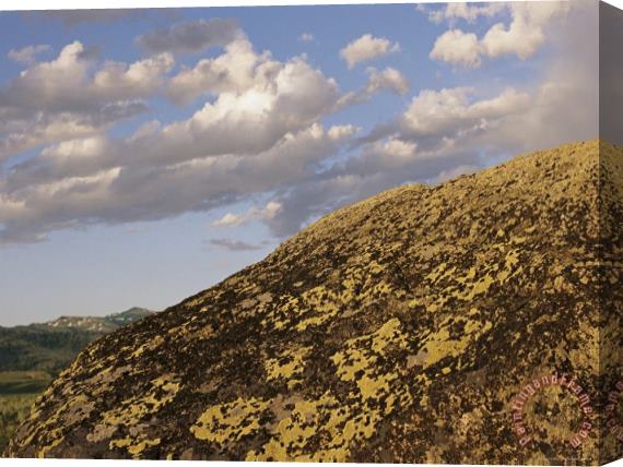 Raymond Gehman Lichen Covered Glacial Erratic Boulders Stretched Canvas Print / Canvas Art