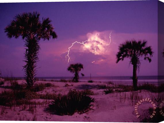 Raymond Gehman Lightning Illuminates The Purple Sky Over Cumberland Island National Seashore Stretched Canvas Print / Canvas Art