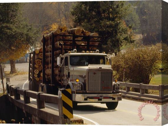 Raymond Gehman Logs Are Hauled Out of Jefferson National Forest Stretched Canvas Painting / Canvas Art