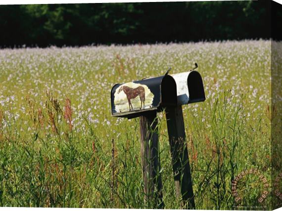 Raymond Gehman Mailboxes And a Field of Wildflowers Stretched Canvas Print / Canvas Art