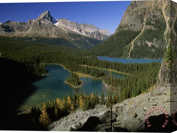 Raymond Gehman Mary Lake And Lake O Hara Sprawl at The Foot of Wiwaxy Peaks in Yoho National Park Stretched Canvas Painting / Canvas Art