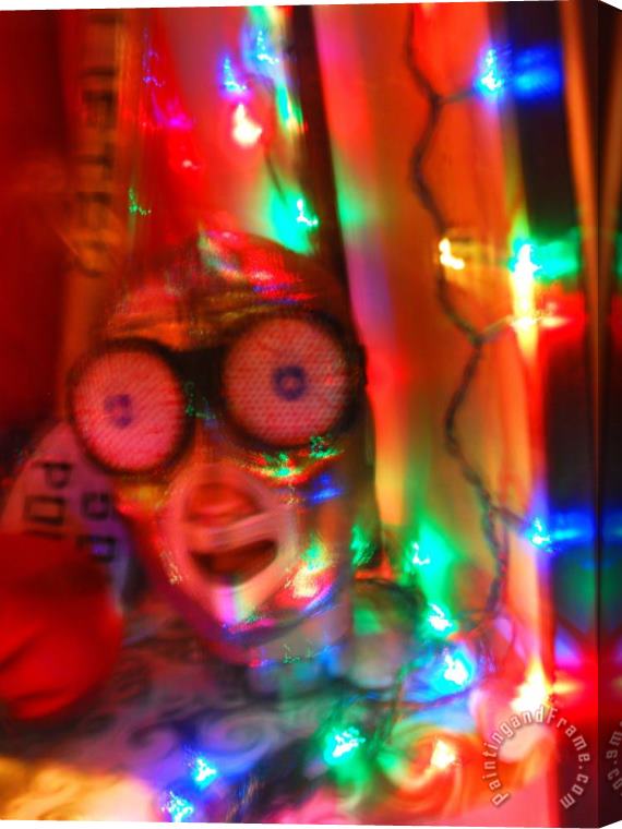 Raymond Gehman Mask And Christmas Lights in a Costume Shop Window in San Francisco Stretched Canvas Painting / Canvas Art