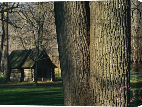 Raymond Gehman Miller Cabin Among Large Trees Established in 1890 Rock Creek Park Stretched Canvas Print / Canvas Art