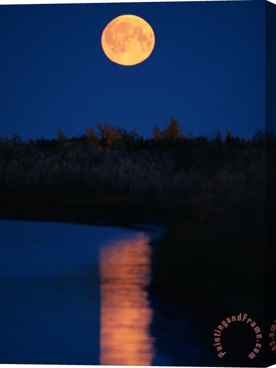 Raymond Gehman Moonrise Over The Delta Stretched Canvas Print / Canvas Art