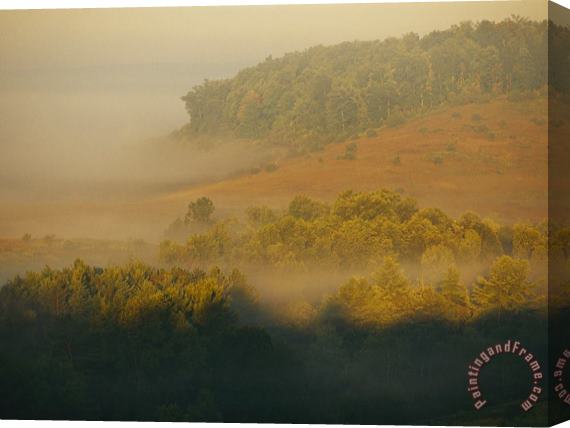 Raymond Gehman Morning Fog Rises From The Forest Stretched Canvas Print / Canvas Art