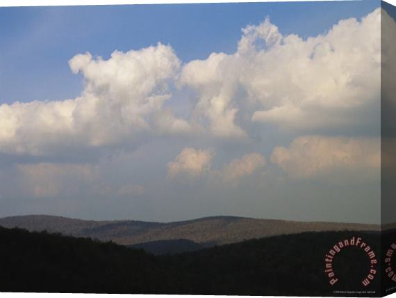 Raymond Gehman Mount Rogers Is The Highest Mountain Wilderness in Virginia Stretched Canvas Print / Canvas Art
