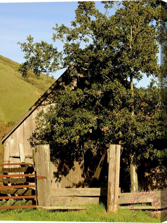 Raymond Gehman Old Barn Off Highway 1 Northern California Stretched Canvas Print / Canvas Art