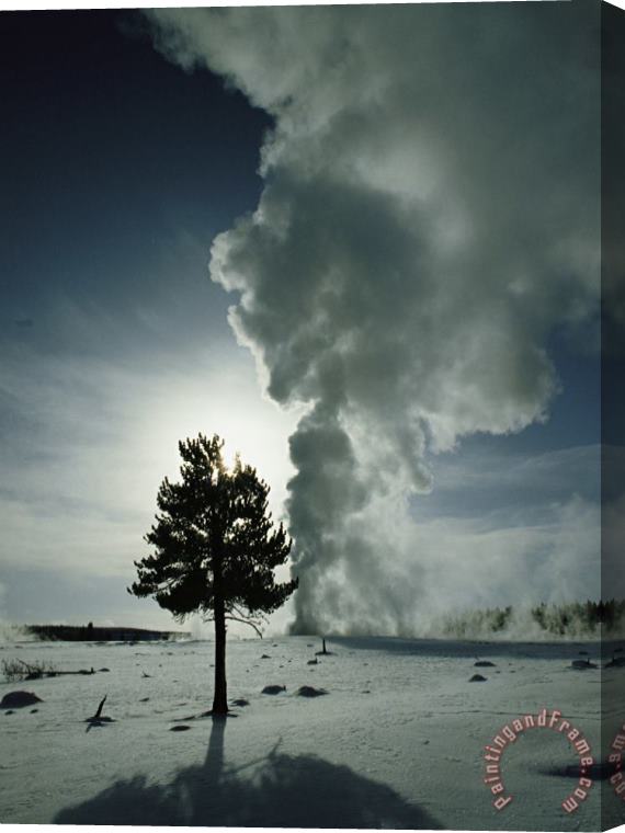 Raymond Gehman Old Faithful Geyser Erupting in Winter Stretched Canvas Painting / Canvas Art