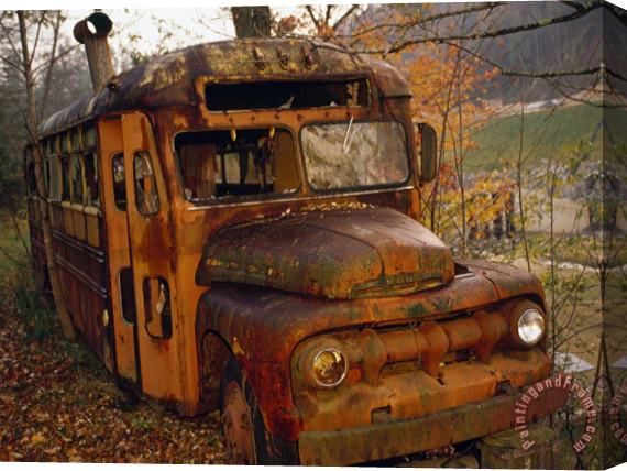Raymond Gehman Old Rusting School Bus Sitting Among The Trees Stretched Canvas Print / Canvas Art