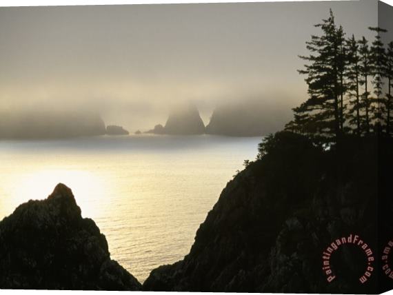 Raymond Gehman Pacific Fog Cloaks Rocky Outcroppings at Puffin Cove Stretched Canvas Print / Canvas Art