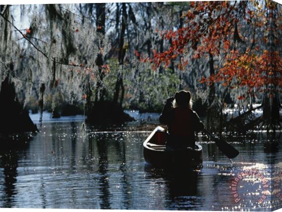Raymond Gehman Park Ranger Canoeing Under Cypress Trees Draped with Spanish Moss Stretched Canvas Painting / Canvas Art