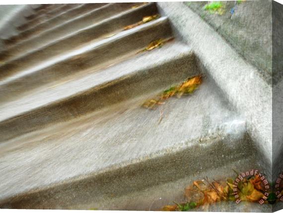 Raymond Gehman Park Staircase in San Francisco Stretched Canvas Print / Canvas Art