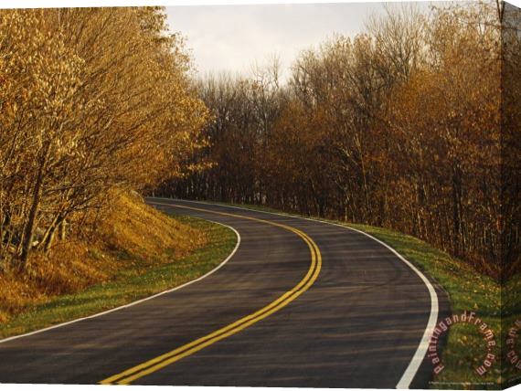 Raymond Gehman Paved Road Runs Through Trees with Autumn Foliage Stretched Canvas Painting / Canvas Art